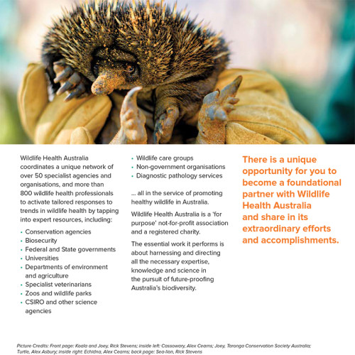 Wildlife Health Australia Bettina Kaiser art + design